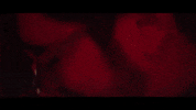 fun partying GIF by Diply