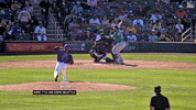 Celebrate Colorado Rockies GIF by MLB