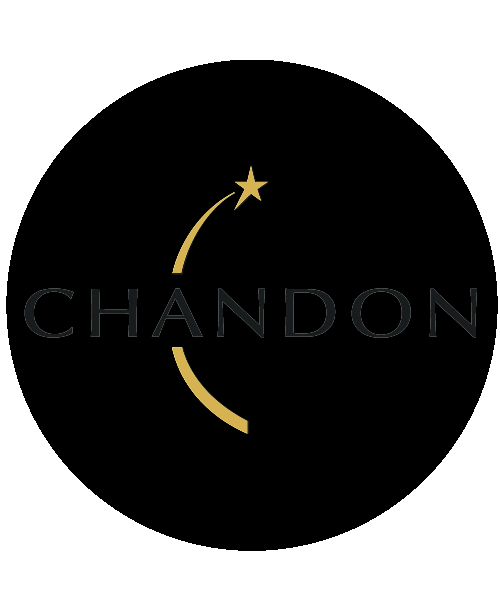 sparkling wine dance Sticker by Chandon India
