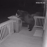 Mood Feels GIF by Darwin