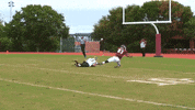 trinityuniversity touchdown college football tu trinity GIF