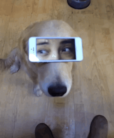 VicVik giphyupload GIF