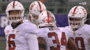 gostanford  GIF