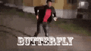 blancobrown dance butterfly blanco blanco brown GIF