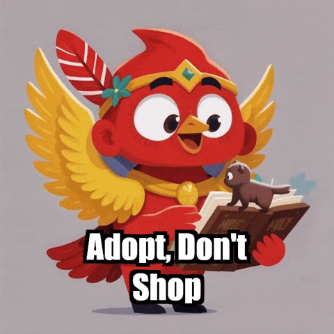 Pets Adopt GIF by The Cardinal Virtue