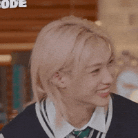 Stray Kids Skz GIF