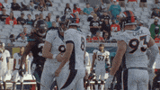 Denver Broncos Football GIF by Broncos