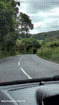 Shikasketchbook GIF by Stella 52