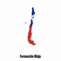 Flag Chile GIF by Formación Ninja