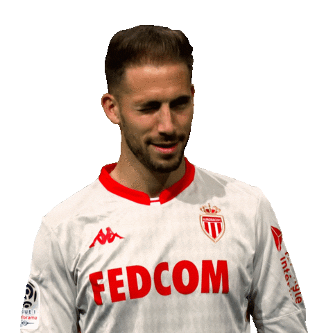 Ligue 1 Football Sticker by AS Monaco