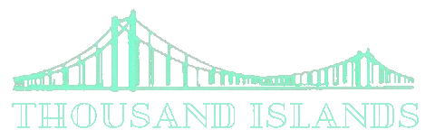 TIPark giphyupload river ny bridge Sticker