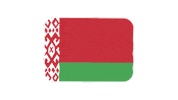 emojivid emoji flag emojivid belarus Sticker