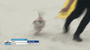 Hustling Espn GIF by American Kennel Club