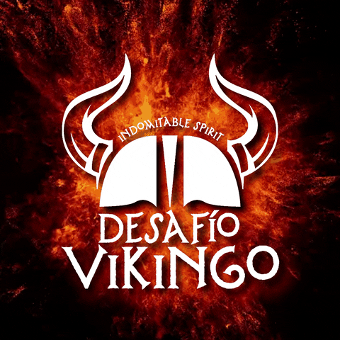 Vikings GIF by Desafio Vikingo