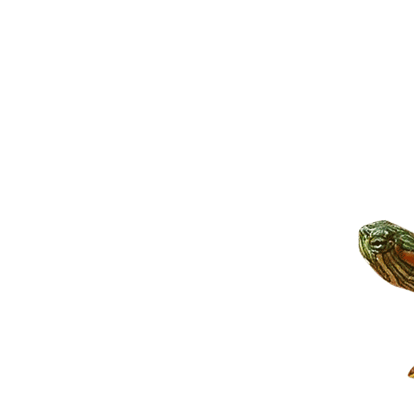 the_pizzacat cat pizza turtle tacos Sticker