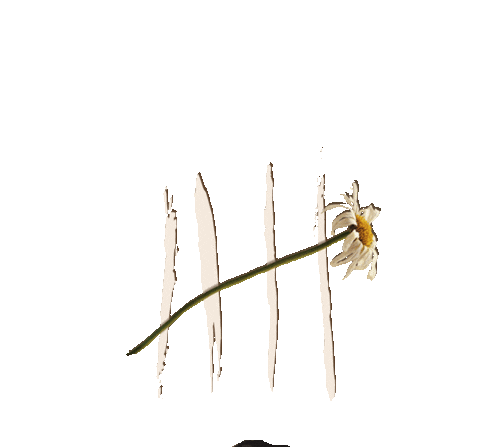 En Amargue Sticker by Natti Natasha