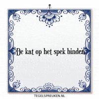 Humor Kat GIF by Tegelspreuken.nl