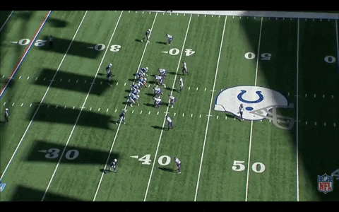 bradyvernon giphyupload GIF