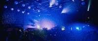Tiesto GIF by Musical Freedom Records