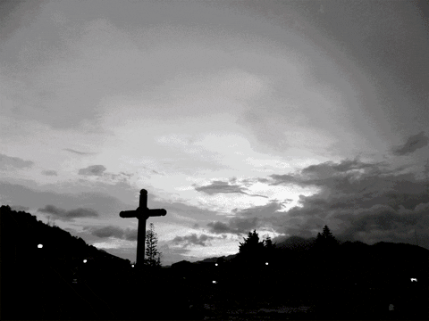 GIF by Canek