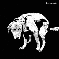 stebore91 meme dog wtf puppy GIF