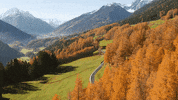 arrive on my way GIF by Tirol