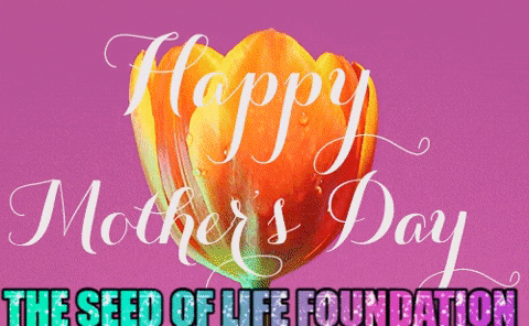 Mothers Day Love GIF by The SOL Foundation