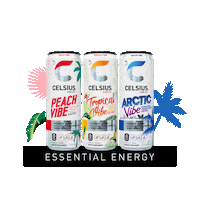 Red Bull Glitch Sticker by Celsius