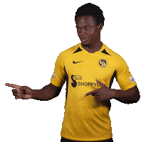 Super League Football Sticker by BSC Young Boys
