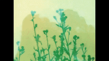 Youtube Film GIF