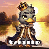 New Beginnings Wisdom GIF by sirduckbeth