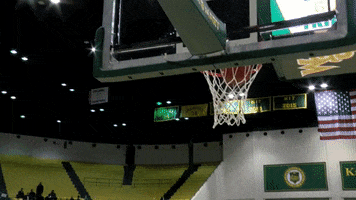 Ball Head GIF by William & Mary Tribe Athletics