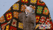 scared uh oh GIF by WWE