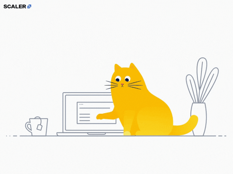 an orange cat looking at a laptop and continuously pressing a key on the laptop on the desk