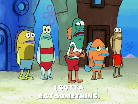 season 8 GIF by SpongeBob SquarePants