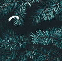 Santa Claus Christmas GIF