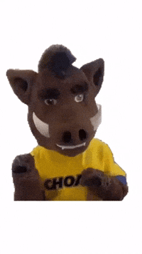 Wild Boar GIF by Choate Rosemary Hall