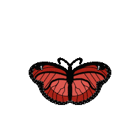 Fly Butterfly Sticker