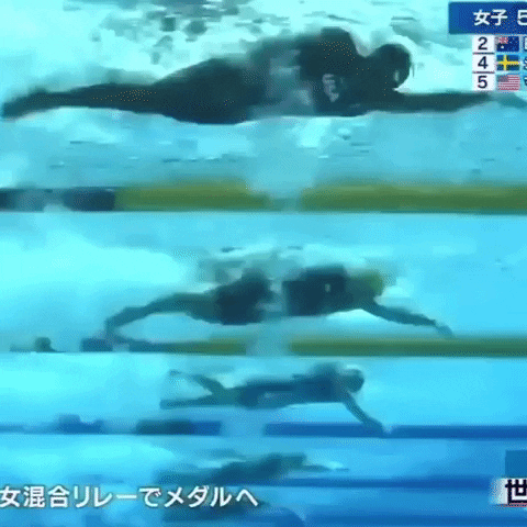 skillsnt giphyupload GIF