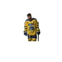 Jubel Sticker by Storhamar Hockey