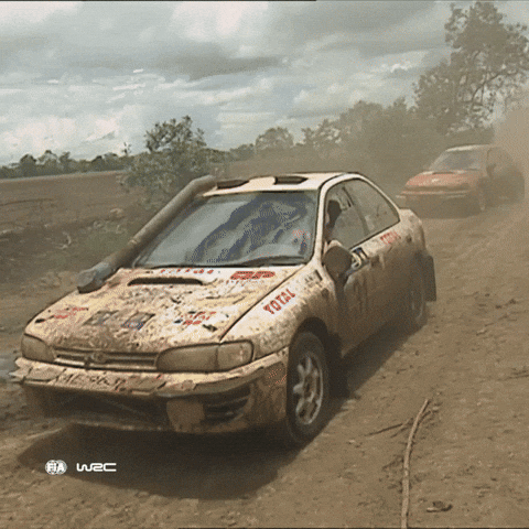 Fail Oh No GIF by FIA World Rally Championship