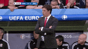 euro 2016 GIF by Sporza