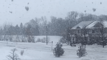 Heavy Snow Falls Across Eastern Iowa