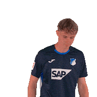 Sport Bundesliga Sticker by TSG Hoffenheim