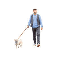 Hund Mops Sticker by Freiraum Fichtelgebirge