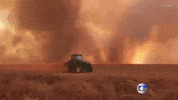 fire brazil deforestation amazon rainforest brazil forest fire GIF