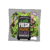Foodie Salad Sticker by G's Fresh