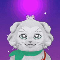 Cat Love GIF by Kitten Cup Studio