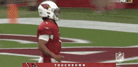 Regular Season Football GIF by NFL