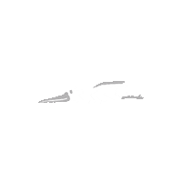 mouse_ro_grim 덕자도요 ducjaadoyo 도요 덕도 Sticker